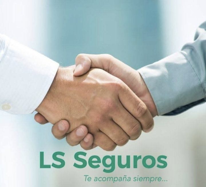 LS Seguros - Te acompaña siempre...